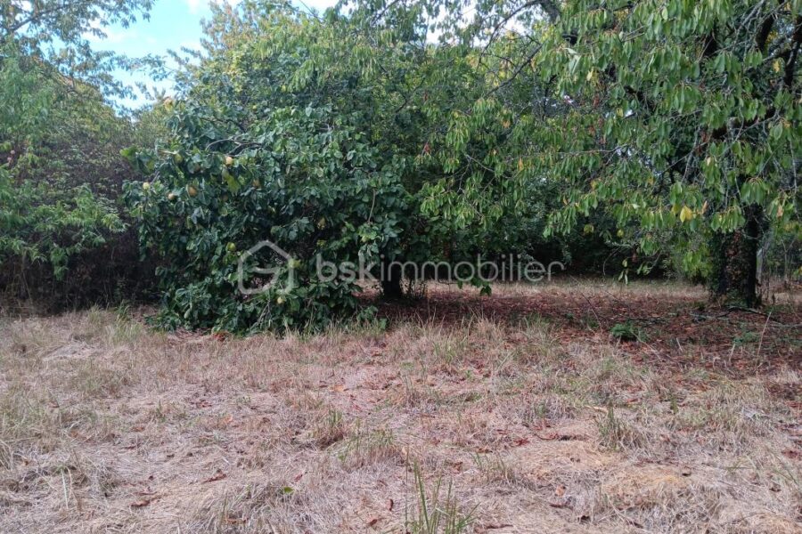 Maison à vendre à Saint vincent la chatre — Vue dégagée — photo 22