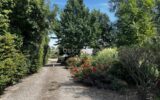 Maison à vendre à Buleon — Vue parc & jardin — photo 22