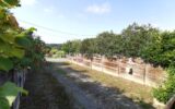 Maison à vendre à Orthez — Vue dégagée — photo 22