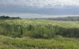 Maison à vendre à Agen — Vue nature — photo 22