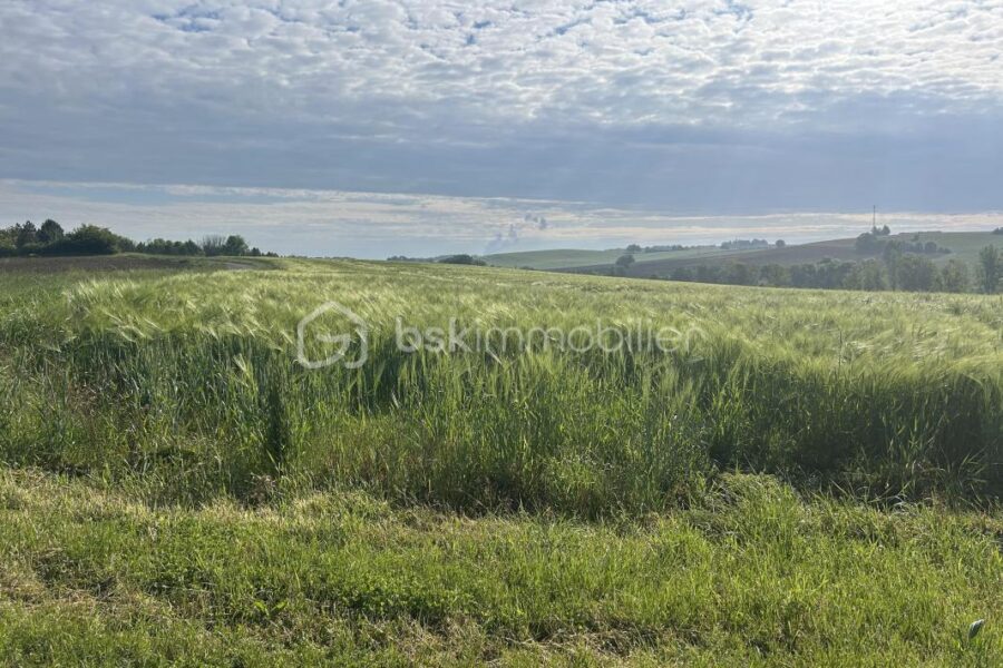 Maison à vendre à Agen — Vue nature — photo 22