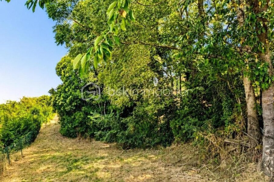 Maison à vendre à Auch — Vue sur la ville — photo 22