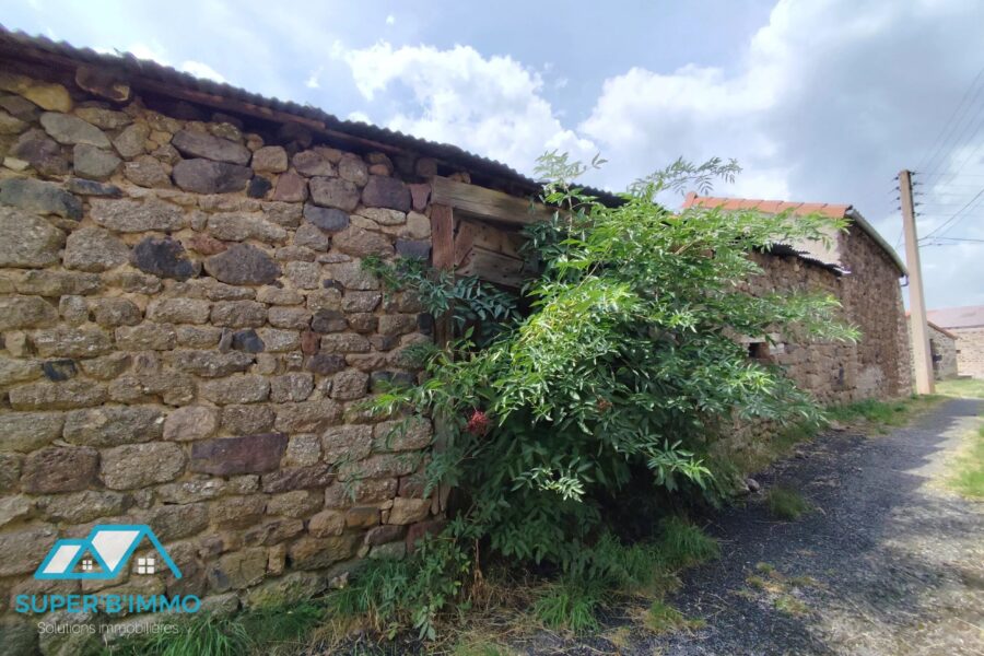 Maison à vendre à Saugues — Vue nature — photo 13