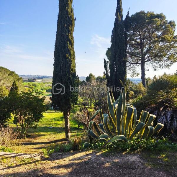 Maison à vendre à Maraussan — Vue nature — photo 23