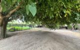 Maison à vendre à La charite sur loire — Vue nature — photo 23