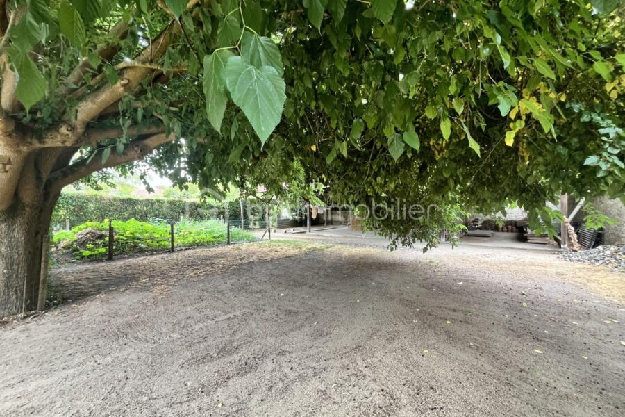 Maison à vendre à La charite sur loire — Vue nature — photo 23
