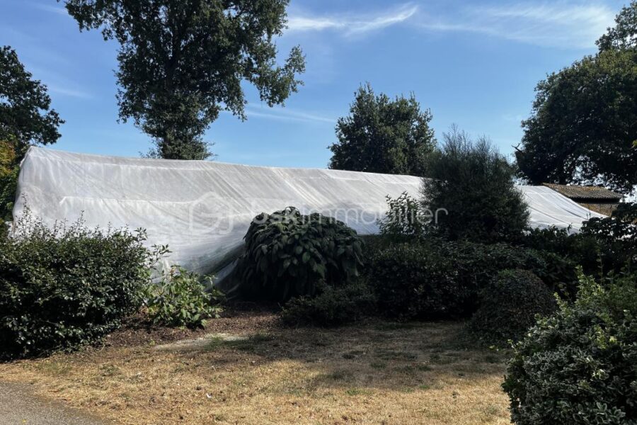 Maison à vendre à Buleon — Vue parc & jardin — photo 23