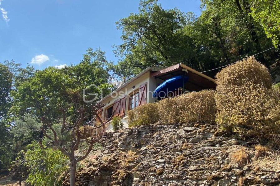 Maison à vendre à Connac — Vue nature — photo 23