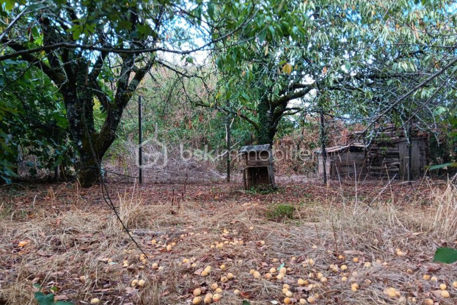 Maison à vendre à Saint vincent la chatre — Vue dégagée — photo 23