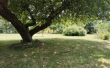 Terrain à vendre à Villebéon — Vue dégagée — photo 1