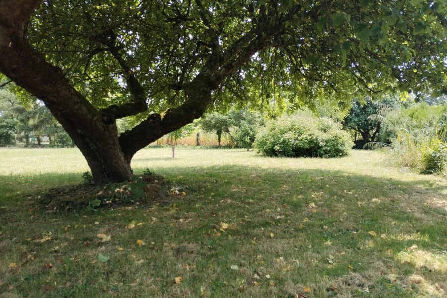 Terrain à vendre à Villebéon — Vue dégagée — photo 1