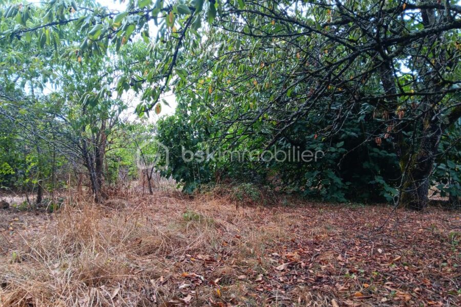 Maison à vendre à Saint vincent la chatre — Vue dégagée — photo 24