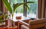 Maison à vendre à Sanur — Vue nature — photo 60