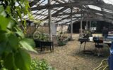 Maison à vendre à Buleon — Vue parc & jardin — photo 25