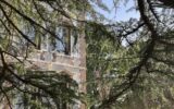 Maison à vendre à Ferrieres en gatinais — Vue nature — photo 25