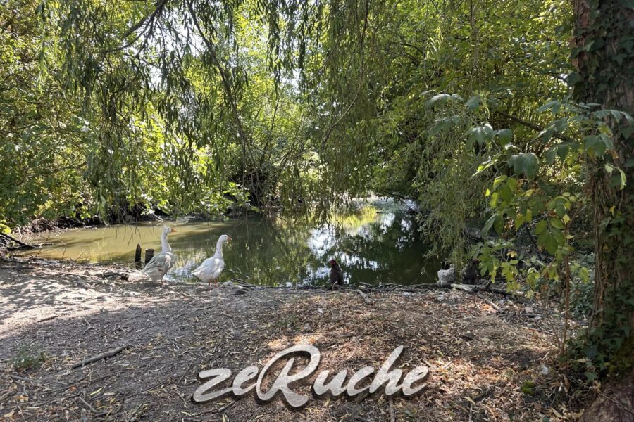 Maison à vendre à Cahagnes — Vue nature — photo 51