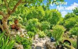 Maison à vendre à Chessy — Vue nature — photo 26