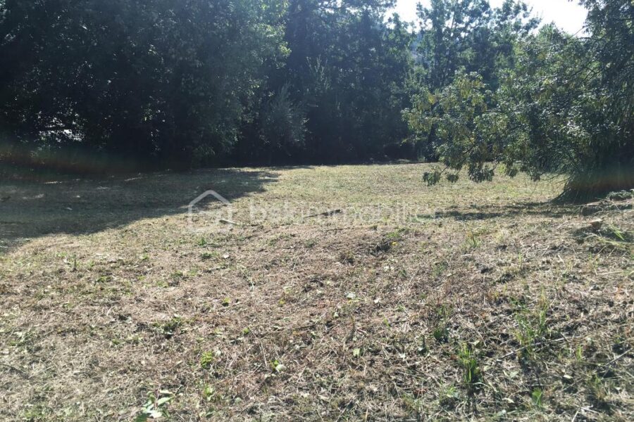 Maison à vendre à La colle sur loup — Vue nature — photo 26