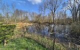 Maison à vendre à Bettencourt riviere — Vue dégagée — photo 26