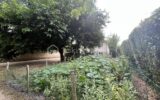 Maison à vendre à La charite sur loire — Vue nature — photo 28