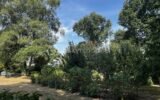 Maison à vendre à Buleon — Vue parc & jardin — photo 28
