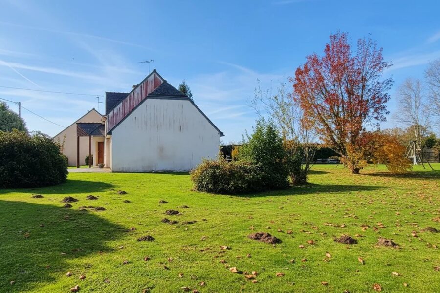 Maison à vendre à Cléguérec — Vue nature — photo 4