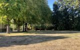 Maison à vendre à Ferrieres en gatinais — Vue nature — photo 29