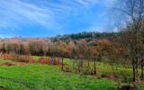 Maison à vendre à Guern — Vue nature — photo 17