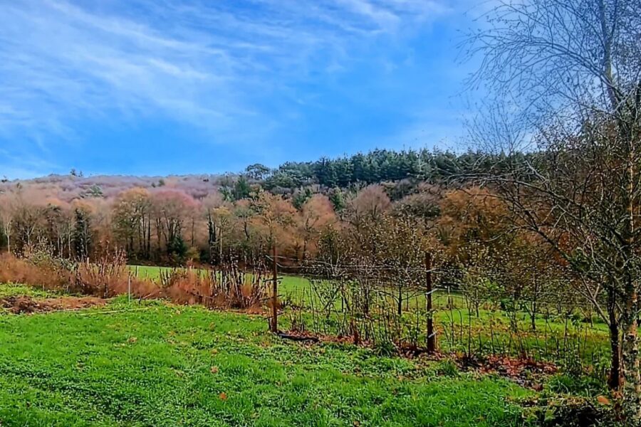 Maison à vendre à Guern — Vue nature — photo 17