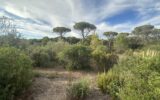 Terrain à vendre à Fréjus — Vue nature — photo 2