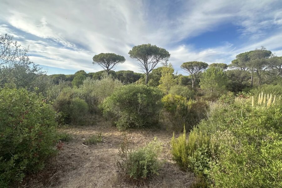Terrain à vendre à Fréjus — Vue nature — photo 2