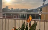 Appartement à vendre à Saint-jean-cap-ferrat — Vue sur la ville — photo 4