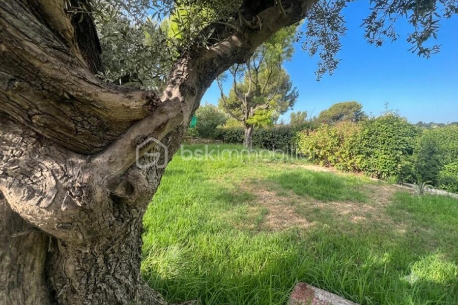 Maison à vendre à Ollioules — Vue dégagée — photo 4