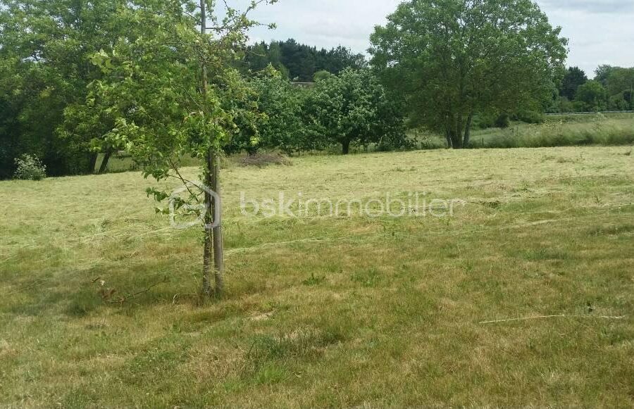 Terrain à vendre à Savigny sur clairis — Vue nature — photo 4