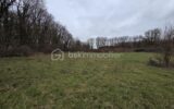 Terrain à vendre à Blanzay — Vue nature — photo 1