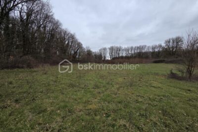 Terrain à vendre à Blanzay
