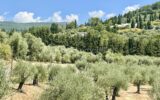 Maison à vendre à Grasse — Vue nature — photo 1