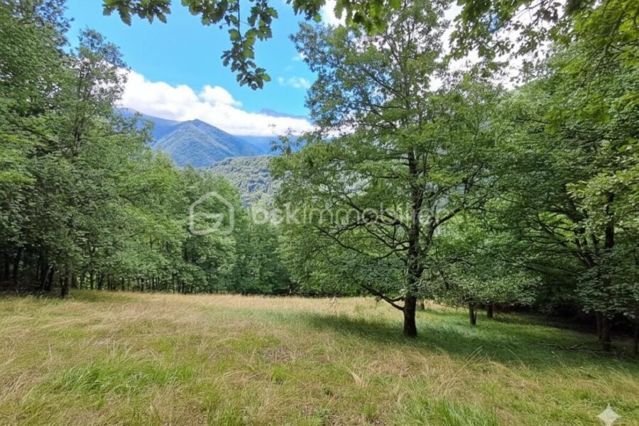 Maison à vendre à Antras — Vue montagne — photo 3
