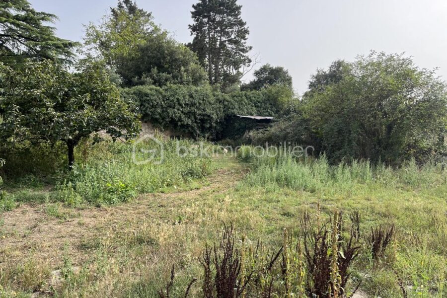 Terrain à vendre à Nueil les aubiers — Vue nature — photo 3