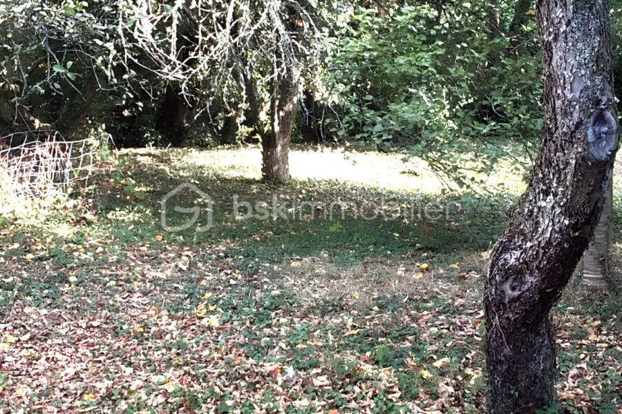 Terrain à vendre à Clohars carnoet — Vue dégagée — photo 3
