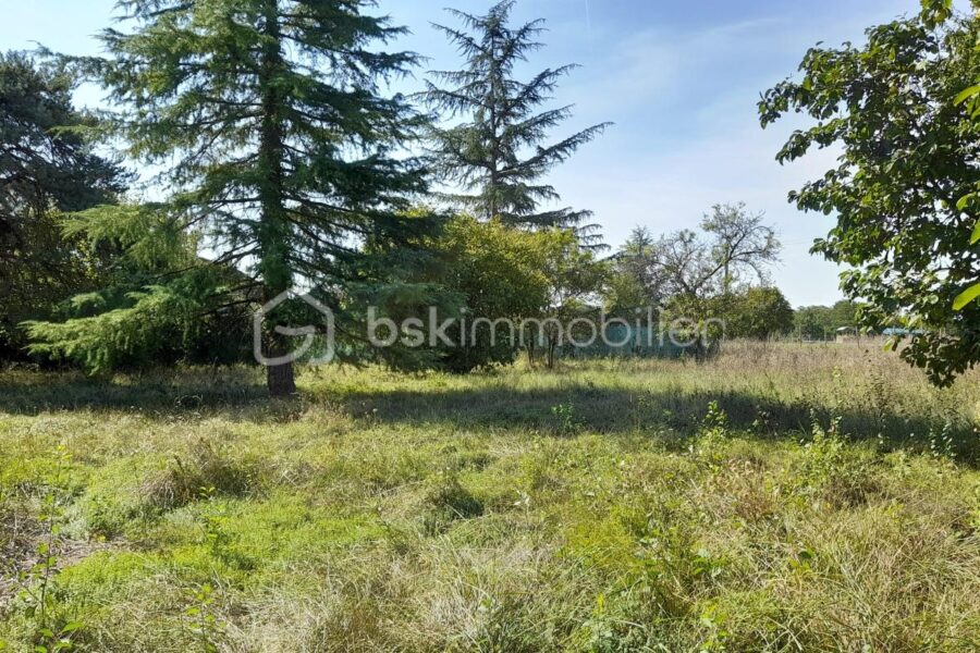 Terrain à vendre à Saint georges sur cher — Vue nature — photo 3
