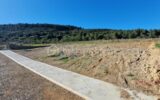 Terrain à vendre à Embres et castelmaure — Vue nature — photo 4