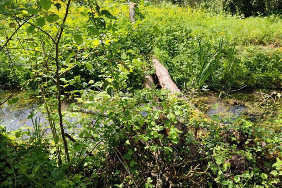 Terrain à vendre à Villeneuve l archeveque — Vue dégagée — photo 3