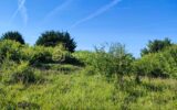 Terrain à vendre à Voisines — Vue nature — photo 3