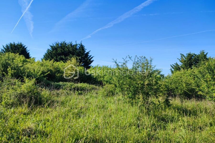 Terrain à vendre à Voisines — Vue nature — photo 3