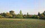 Terrain à vendre à Saint puy — Vue nature — photo 1