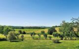 Maison à vendre à Astaffort — Vue nature — photo 1