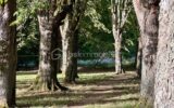 Maison à vendre à Ferrieres en gatinais — Vue nature — photo 30