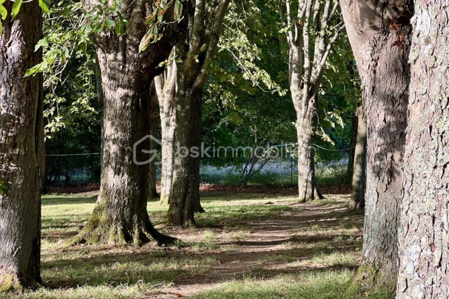 Maison à vendre à Ferrieres en gatinais — Vue nature — photo 30