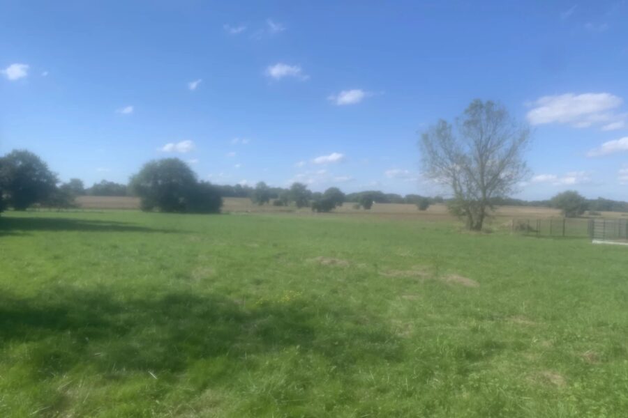 Terrain à vendre à Ger — Vue nature — photo 4